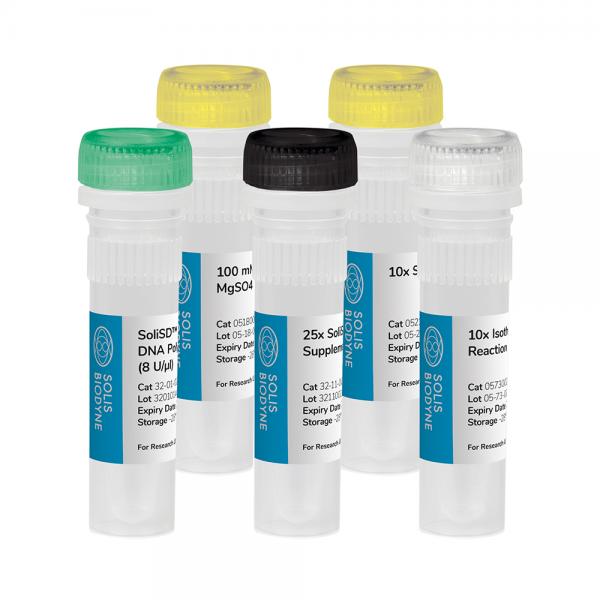 SoliSD™ Bsm DNA Polymerase Kit