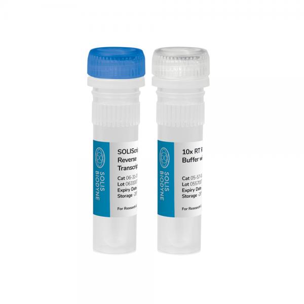 MMLV High Performance Reverse Transcriptase Kit